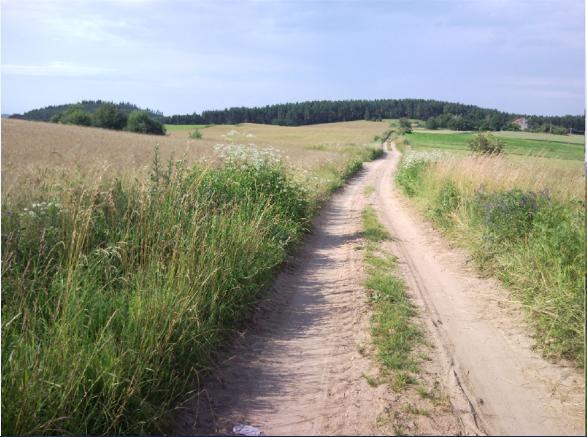 Fajne Miejsce Villa Jeziorany Exteriör bild